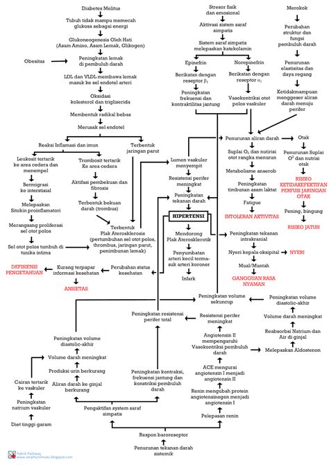 pathway patofisiologi hipertensi