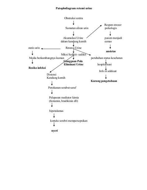 pathway retensi urine