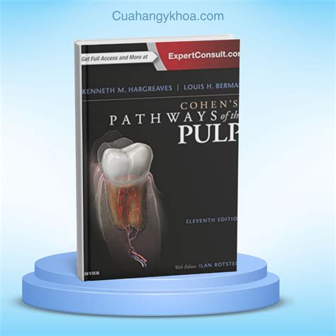 Pathways Pulp 11