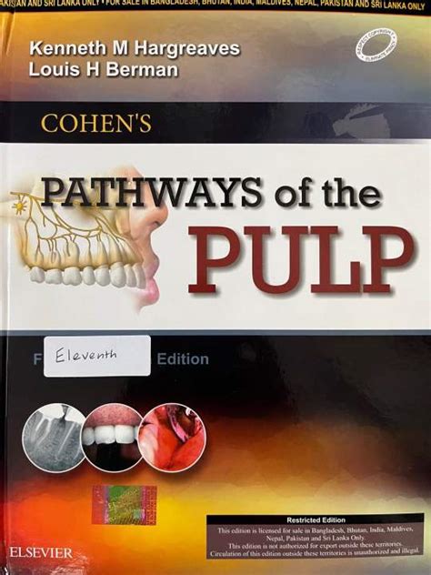 Full Download Pathways Of The Pulp 11Th Edition 