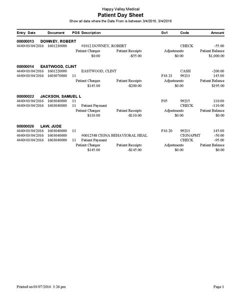 Patient Day Sheet Sample