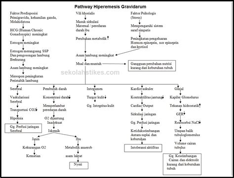 patofisiologi hiperemesis gravidarum