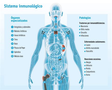 patologías del sistema inmunológico generalidades