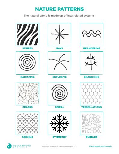 Patterns In Nature Worksheets Amp Teaching Resources Tpt Patterns In Nature Worksheet - Patterns In Nature Worksheet