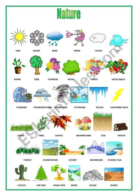 Patterns In Nature Worksheets Learny Kids Patterns In Nature Worksheet - Patterns In Nature Worksheet