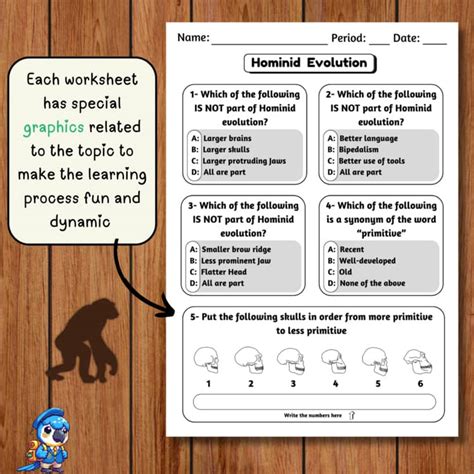 Patterns Of Evolution Answer Key