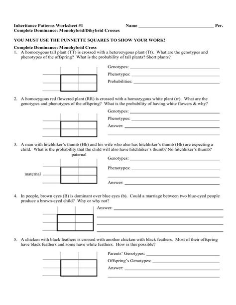 patterns of heredity answer key