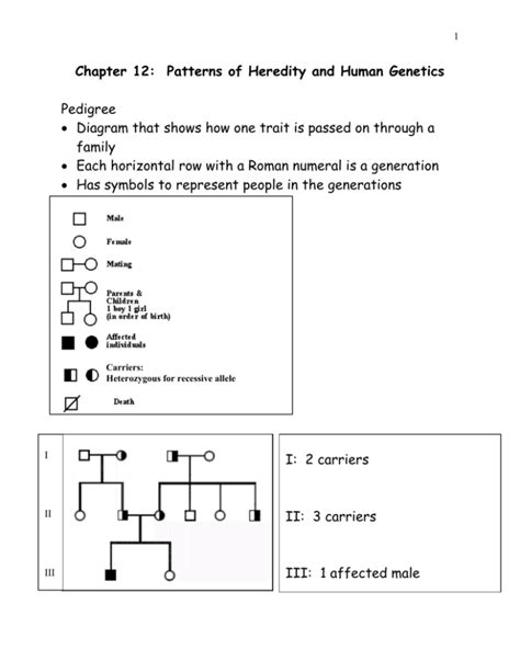 Patterns Of Heredity Study Guide Answers
