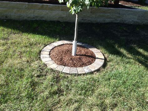 pavers for tree rings - Useful Gardening Tips