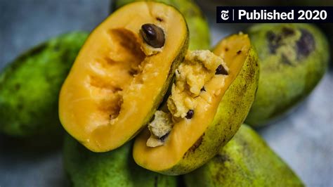 pawpaw | Pawpaw Ointment Watermlon 25G Watsons Indonesia Terbaru