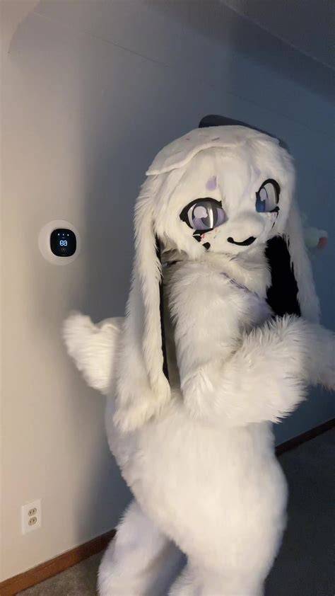 pawsheisty onlyfans