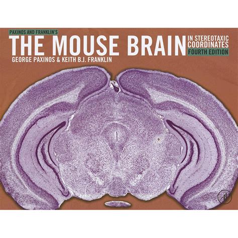 Read Paxinos And Franklins The Mouse Brain In Stereotaxic Coordinates 
