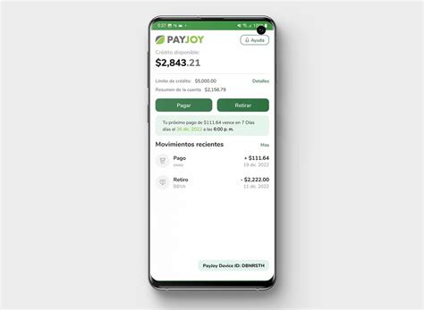 Payjoy Merchant 2