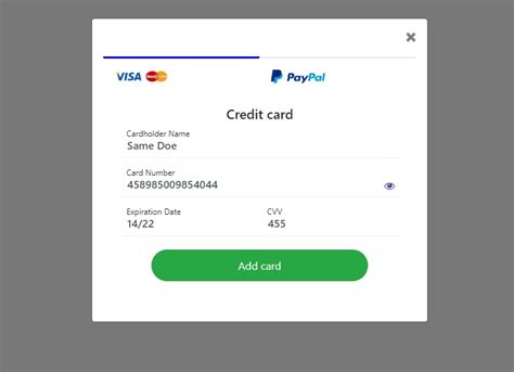 payment Snippets Examples