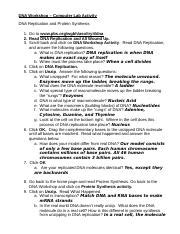Pbs Dna Workshop Activity Answer Key