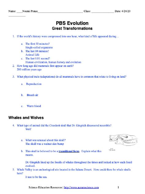 Pbs Evolution Great Transformations Worksheet Answers