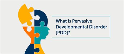 Pdd Developmental Disorder