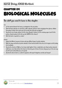 Pdf 04 Biological Molecules Science Sauce Biological Molecules Worksheet Answer Key - Biological Molecules Worksheet Answer Key