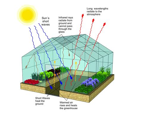 Pdf 3 2 Grading The Greenhouse Effect Simulation Greenhouse Gas Worksheet - Greenhouse Gas Worksheet