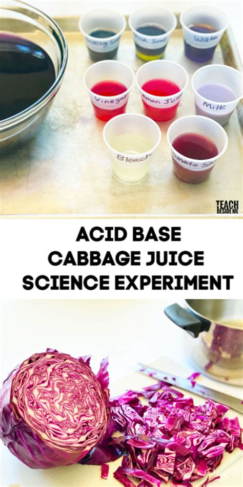Pdf Acids And Bases Cabbage Juice Ph Indicator Red Cabbage Indicator Experiment Worksheet - Red Cabbage Indicator Experiment Worksheet