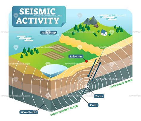 Pdf Activities Seismicwaves And Seismiceruption Seismic Waves Worksheet - Seismic Waves Worksheet