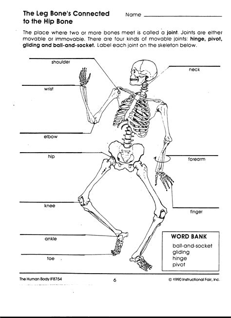 Pdf Bones Muscles And Joints Kidshealth Skeleton Worksheets For Kindergarten - Skeleton Worksheets For Kindergarten