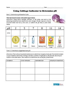 Pdf Cabbage Chemistry Experiment Student Handout Amazon Web Red Cabbage Indicator Experiment Worksheet - Red Cabbage Indicator Experiment Worksheet
