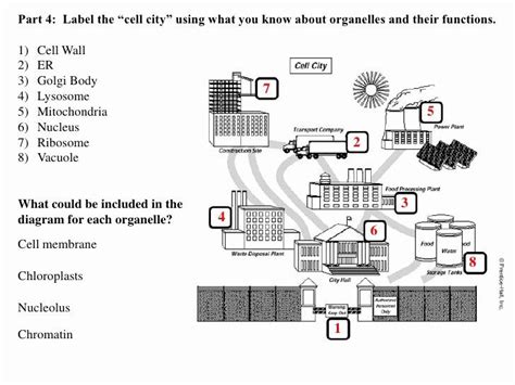 Pdf Cell City Introduction Worksheet Mrs Pickardu0027s Science Cell City Introduction Worksheet - Cell City Introduction Worksheet