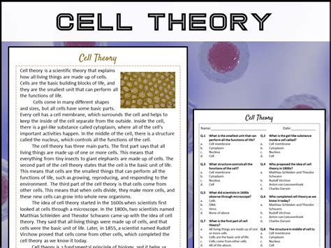 Pdf Cell Theory Reading What Is Cell Theory Cell Theory Worksheet 7th Grade - Cell Theory Worksheet 7th Grade