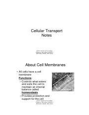 Pdf Cellular Transport Notes New Jersey Institute Of Types Of Cellular Transport Worksheet - Types Of Cellular Transport Worksheet