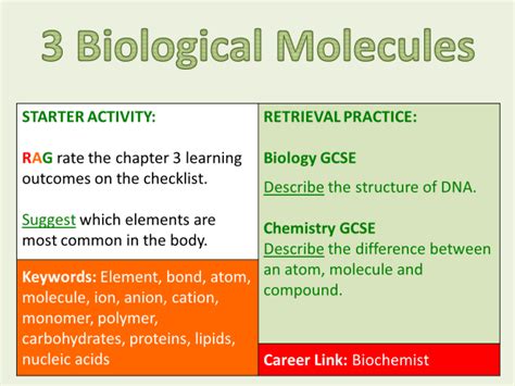 Pdf Chapter 3 Biological Molecules Resources Biological Molecules Worksheet Answer Key - Biological Molecules Worksheet Answer Key