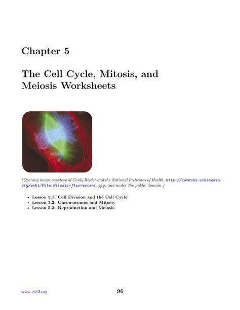 Pdf Chapter 5 The Cell Cycle Mitosis And Cell Cycle Worksheet - Cell Cycle Worksheet