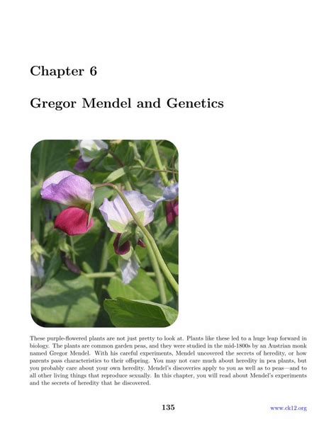Pdf Chapter 6 Gregor Mendel And Genetics Worksheets Gregor Mendel Worksheet Answers - Gregor Mendel Worksheet Answers