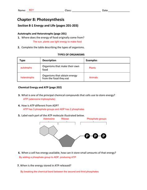 Pdf Chapter 8 1 Energy And Life West Cell Energy Atp Worksheet Answers - Cell Energy Atp Worksheet Answers