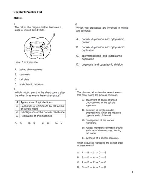 Pdf Chapter 8 Practice Test Mitosis Mitosis 8th Grade Worksheet - Mitosis 8th Grade Worksheet