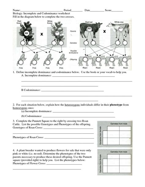 Pdf Codominance And Incomplete Dominance Problems Biology Incomplete And Codominance Worksheet - Biology Incomplete And Codominance Worksheet