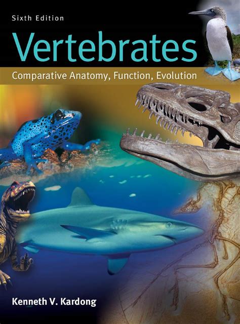 Pdf Comparative Vertebrate Anatomy And Phylogeny Ableweb Org Comparing Vertebrates And Invertebrates - Comparing Vertebrates And Invertebrates