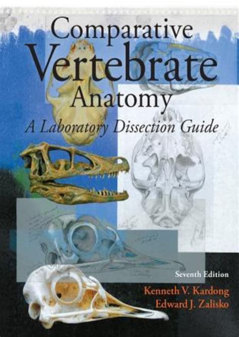 Pdf Comparative Vertebrate Anatomy Boston University Comparative Anatomy Worksheet - Comparative Anatomy Worksheet