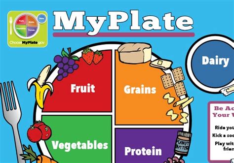 Pdf Create Your Own Myplate Menu My Plate Printable Worksheet - My Plate Printable Worksheet