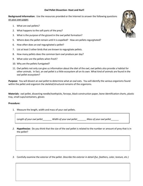Pdf Discovering Owl Pellets Worksheet Uga Owl Pellet Worksheet 4th Grade - Owl Pellet Worksheet 4th Grade
