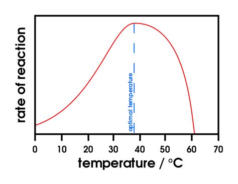 Pdf Effect Of Temperature On The Growth Of Orbeez Science Experiment - Orbeez Science Experiment