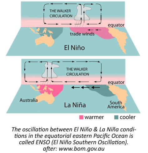 Pdf El Nino Activity Key National Oceanic And Chasing El Nino Worksheet Answers - Chasing El Nino Worksheet Answers