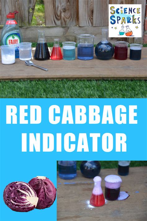 Pdf Experiment 12 Red Cabbage Indicator Anoka Ramsey Red Cabbage Indicator Experiment Worksheet - Red Cabbage Indicator Experiment Worksheet