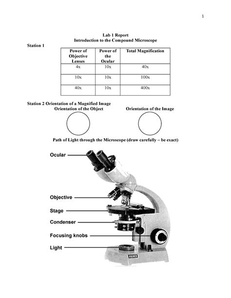 Pdf Experiment Study Of Microscope And Its Parts Microscope Practice Worksheet - Microscope Practice Worksheet