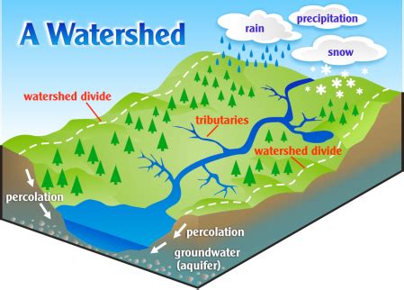 Pdf Explore Watersheds Discover Water 1968 A Watershed Worksheet Answers - 1968 A Watershed Worksheet Answers
