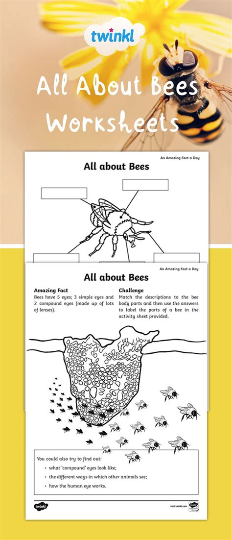 Pdf Fourteen Bees 14 Superstar Worksheets Number 14 Worksheets For Preschool - Number 14 Worksheets For Preschool
