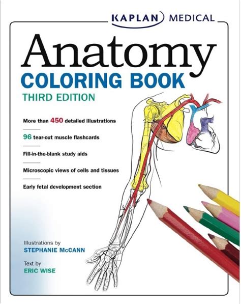 Pdf Free Anatomy Coloring Page Nc State University Circulatory System Coloring Pages - Circulatory System Coloring Pages