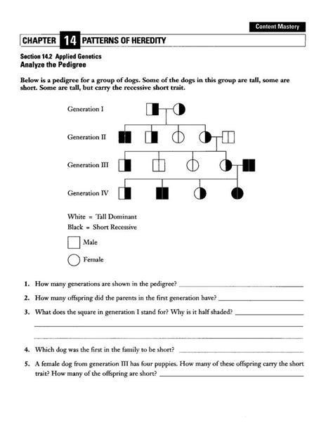 Pdf Genetics Packet For Brms Sixth Grade Science Chromosomes And Heredity Worksheet Answers - Chromosomes And Heredity Worksheet Answers