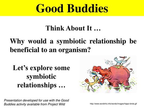 Pdf Good Buddies Symbiotic Relationships Kyrene School District Symbiosis Worksheet And Answer Key - Symbiosis Worksheet And Answer Key
