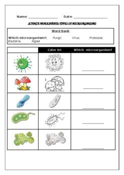 Pdf Grade 7 Microorganisms Worksheet Mr Jeff X27 Organism Worksheet For 7th Grade - Organism Worksheet For 7th Grade